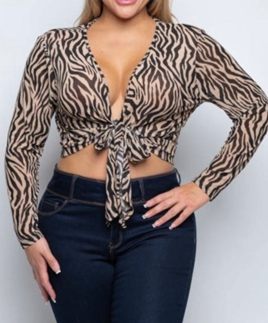 Vaney Curvy Top